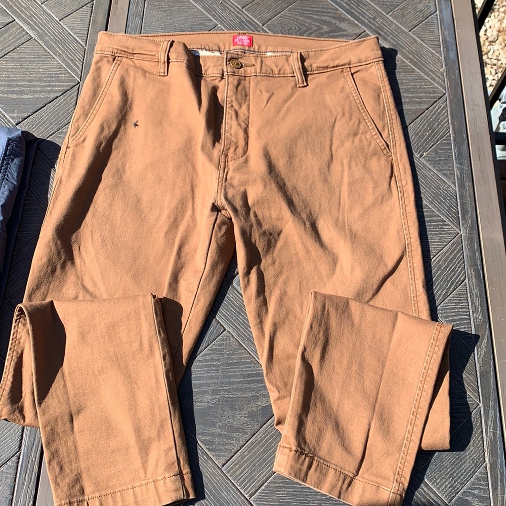 Dachshund LEVIS slim taper